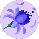 Profilbild von „Heike Blum“