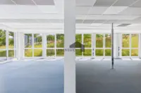 Lichtdurchflutete Bürofläche mit grossen Fensterfronten