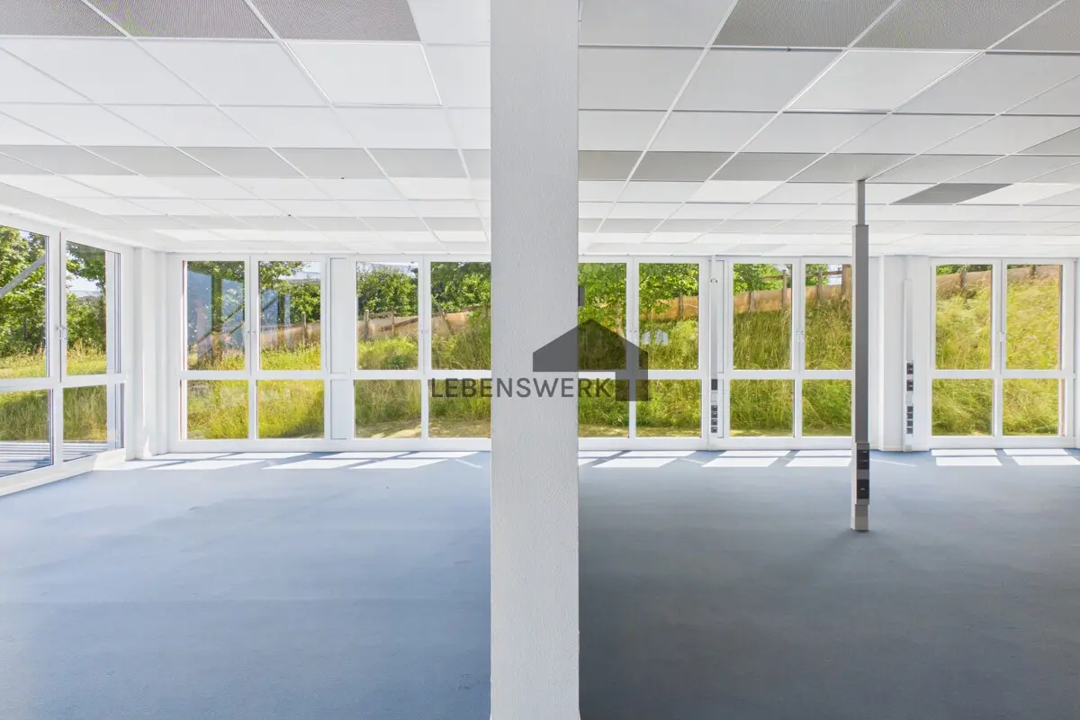 Lichtdurchflutete Bürofläche mit grossen Fensterfronten