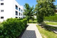 Gepflegtes Wohnumfeld mit grünen Aussenbereichen