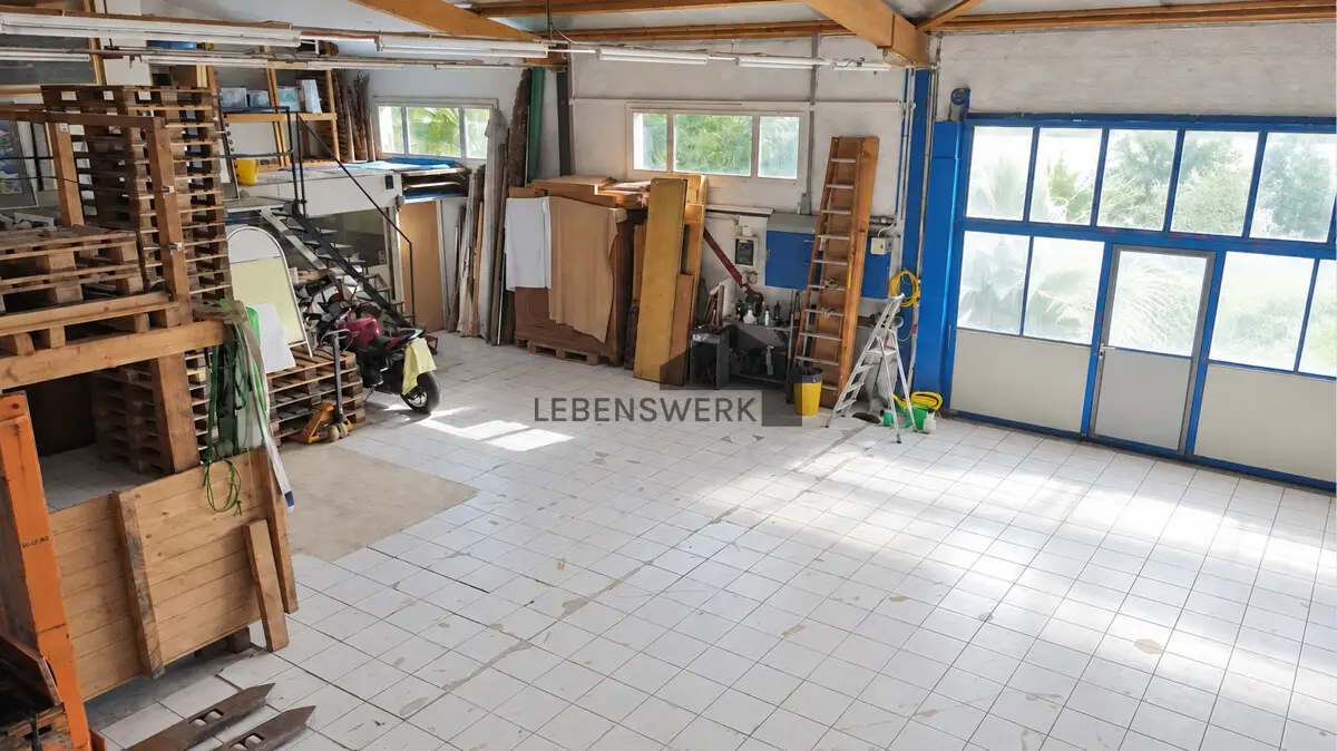 Die grosszügige Halle bietet viel Platz und vielseitige Nutzungsmöglichkeiten.