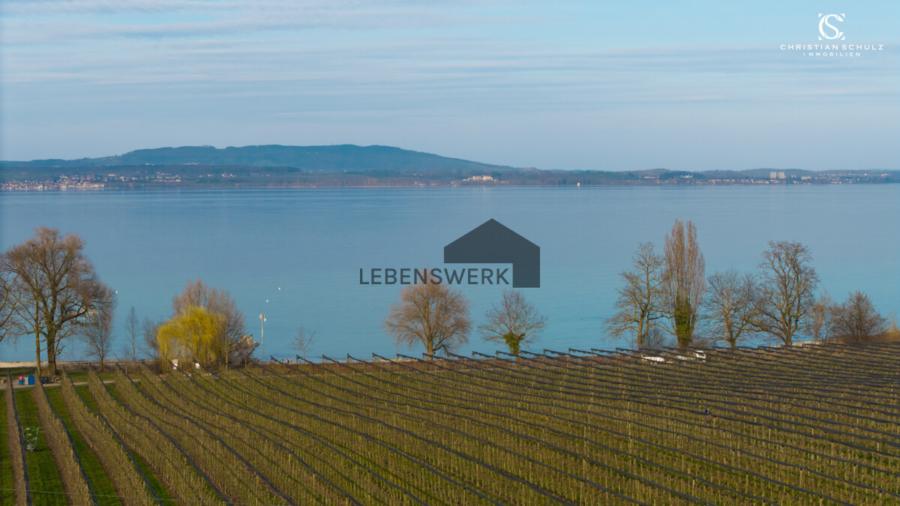Traumhafter Panoramablick über den Bodensee.