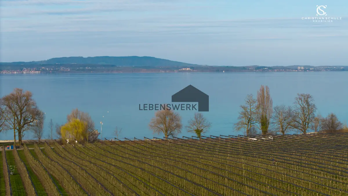 Traumhafter Panoramablick über den Bodensee.
