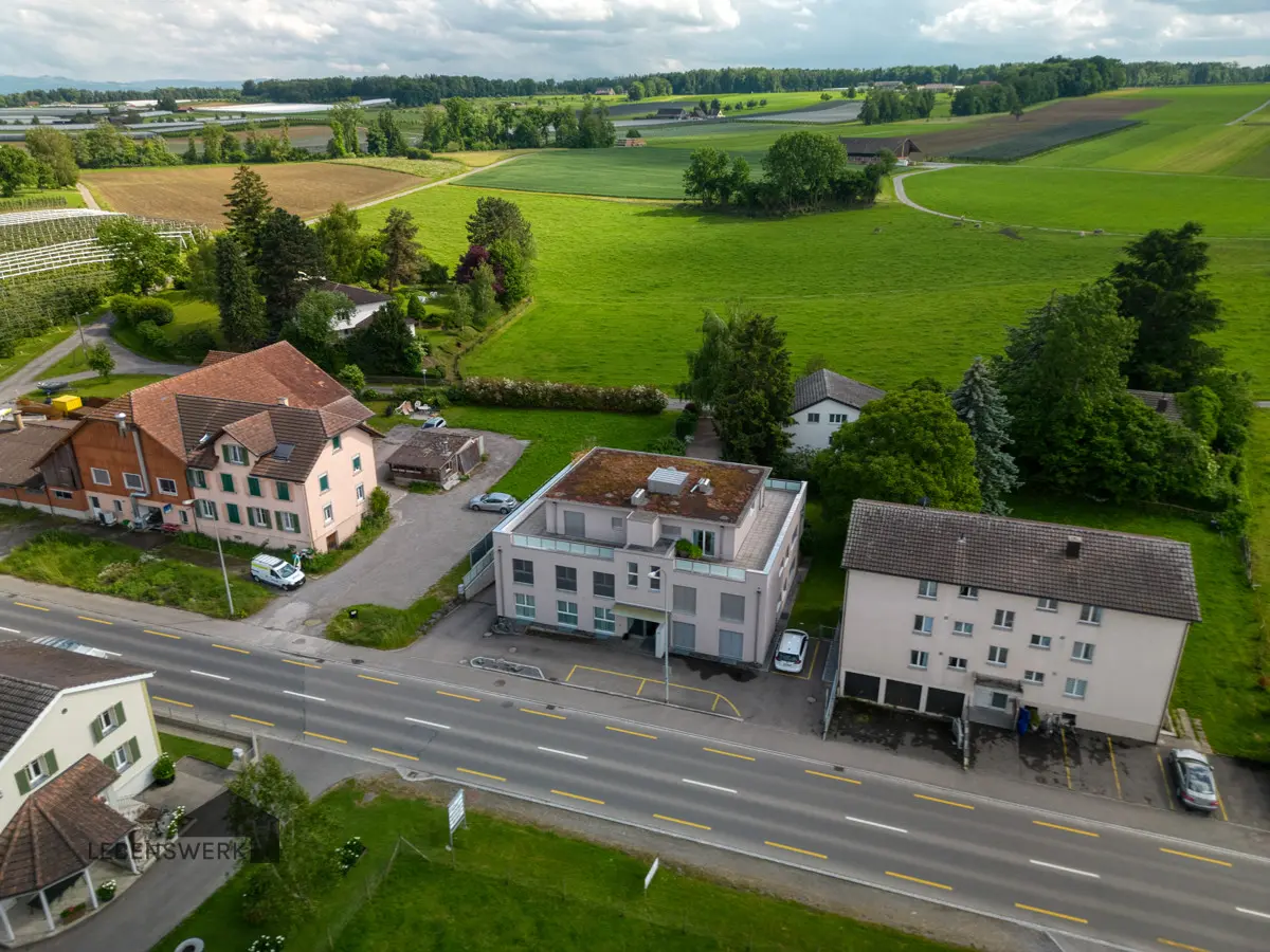 Bird’s Eye View