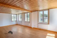 Helles und freundliches Wohnzimmer