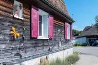 Fensterläden zum abdunkeln