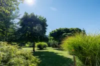 Grosser pflegeleichter Garten