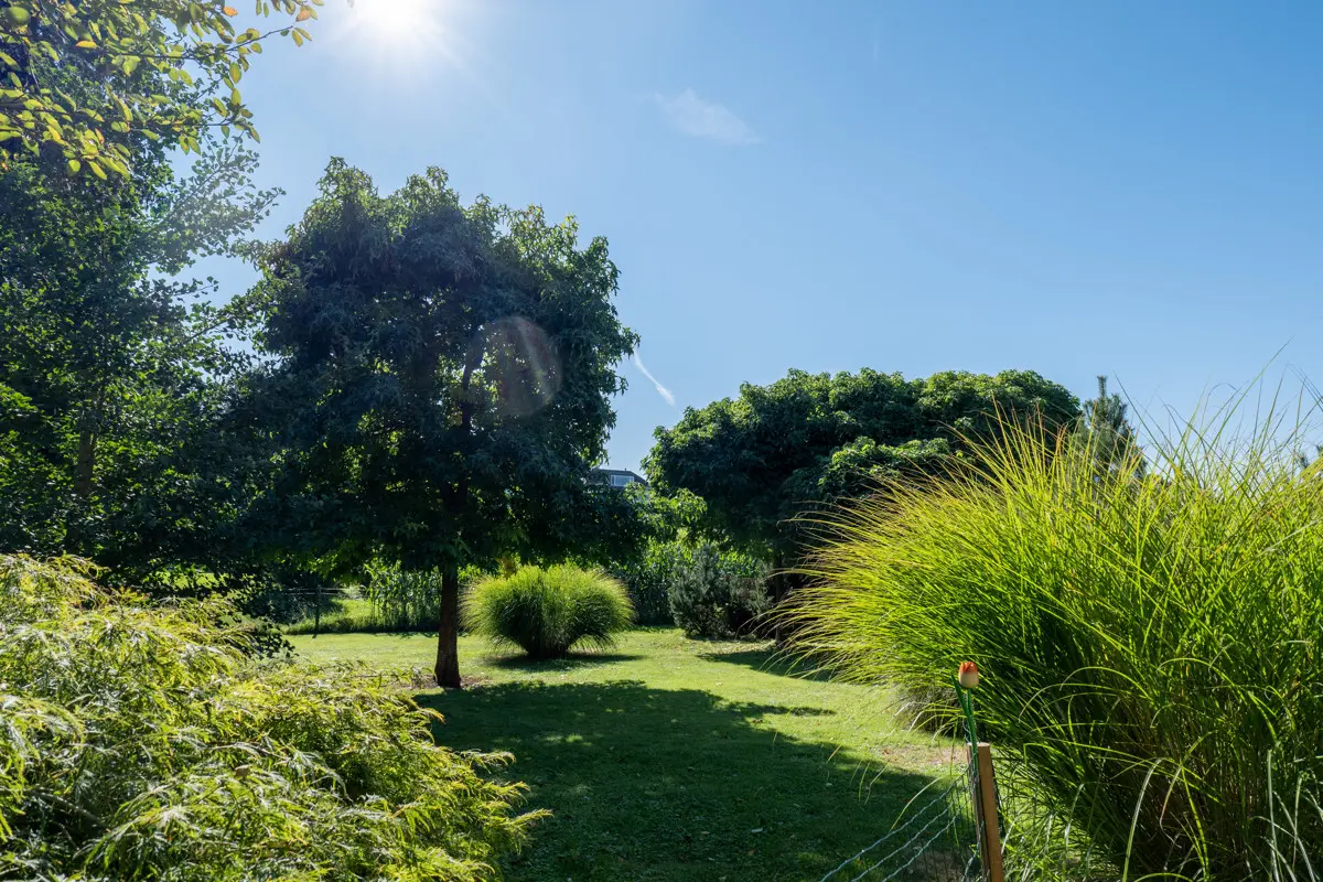Grosser pflegeleichter Garten