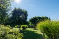 Grosser pflegeleichter Garten