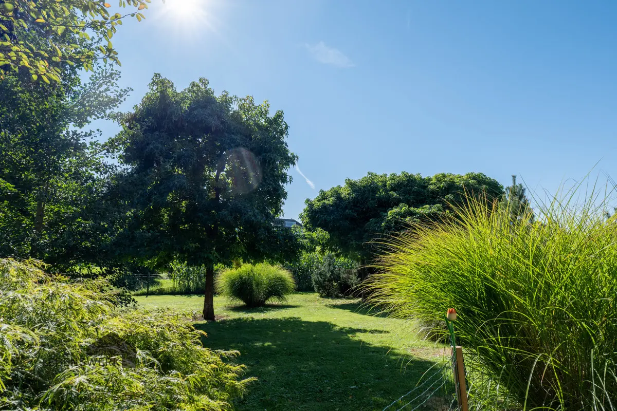 Grosser pflegeleichter Garten