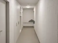 Der Keller.